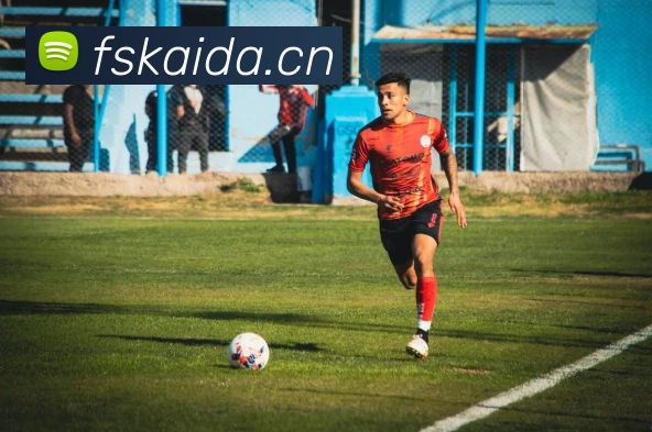 开云网页版在线登录appAPP 封面图